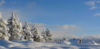 Paesaggio innevato