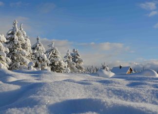 Paesaggio innevato