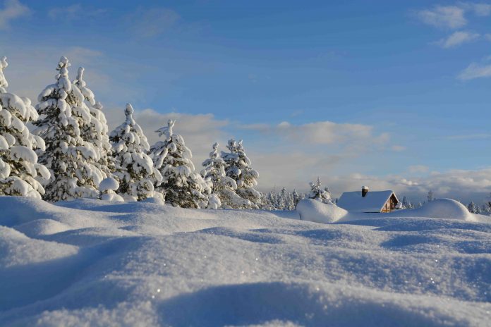 Paesaggio innevato